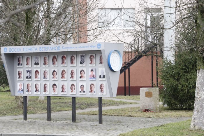 Сквер памяти участников Великой Отечественной войны: первые шаги к созданию