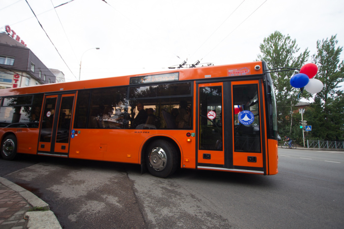 Автобусы предприятия