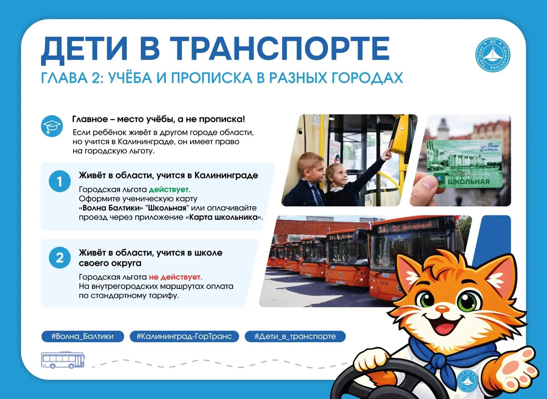 Дети в транспорте. Учёба и прописка в разных городах: как платить за проезд? Дети в транспорте. Учёба и прописка в разных городах: как платить за проезд?