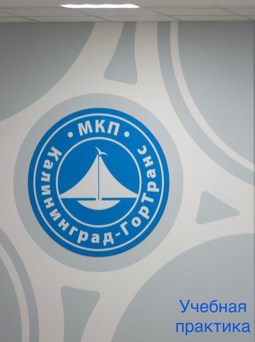 Сотрудничество по проведению практики студентов