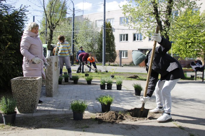 Работники АО «Калининград-ГорТранс» посадили 70 кустарников в рамках акции «Сад Победы»