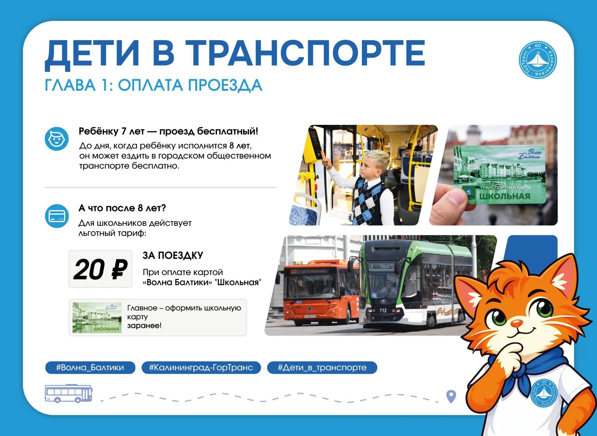 Дети в транспорте. Оплата проезда Дети в транспорте. Оплата проезда