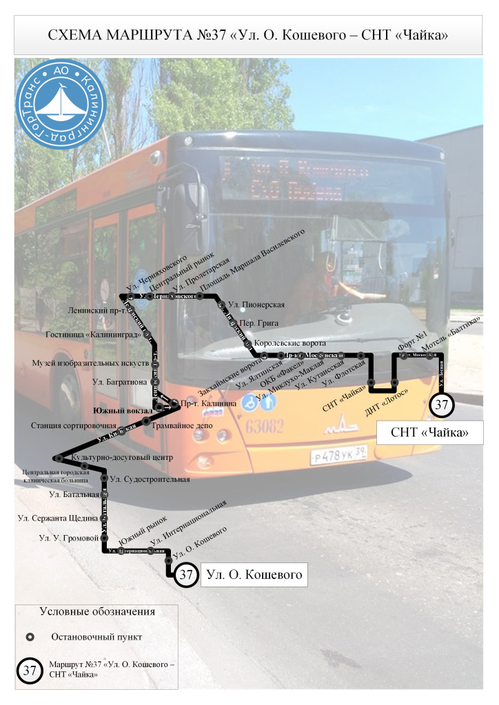 Автобус №37